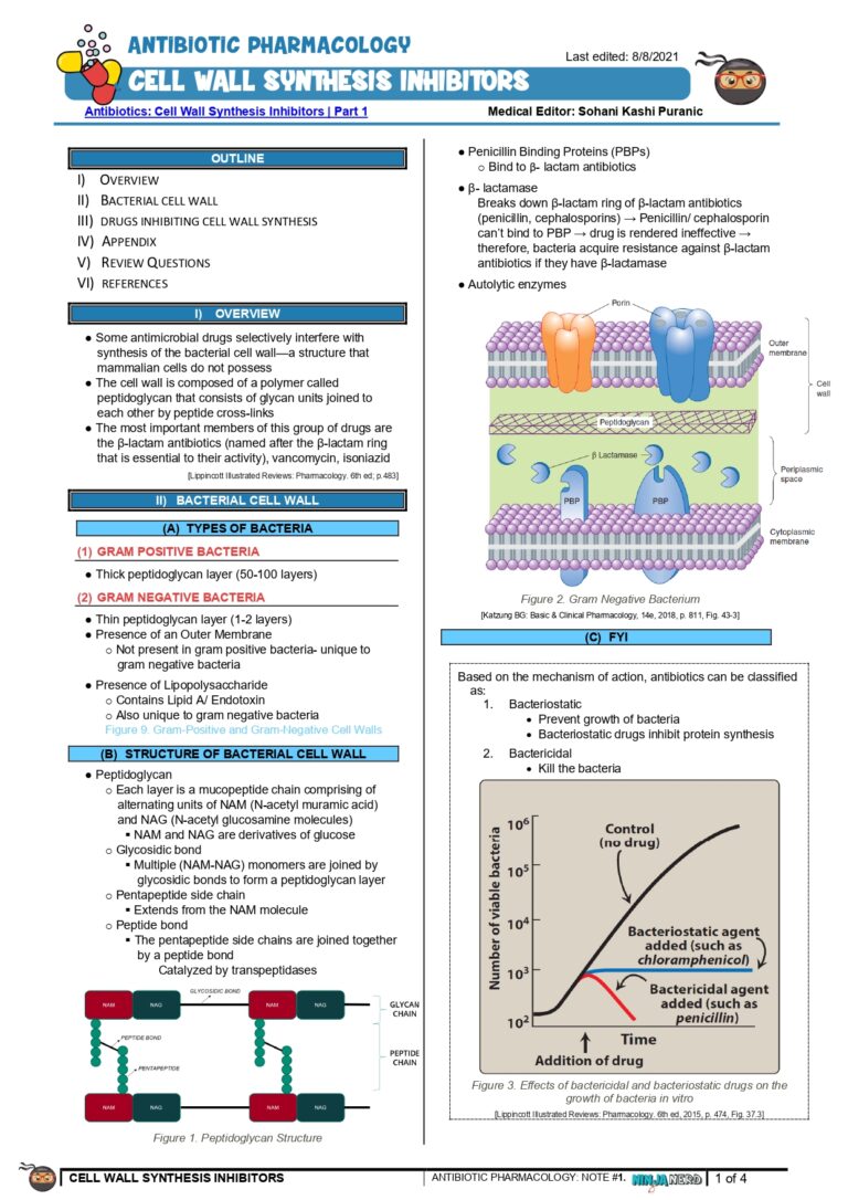 328 - Microbiology Physiology] Cell Wall Synthesis Inhibitors_ Part 1_page-0001